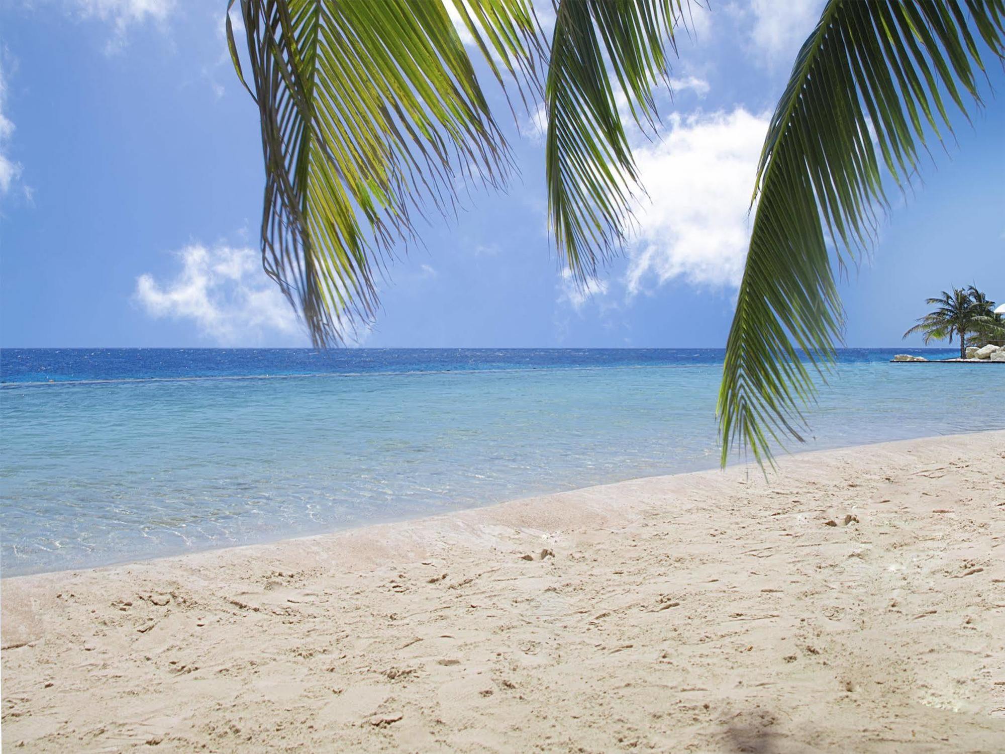 Papagayo Beach Resort (Adults Only) Willemstad Exterior foto